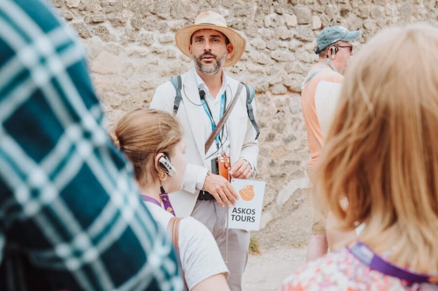 2-Hour Pompeii Child-Friendly Tour - Houses of Menander and the Faun: When Home Becomes a Story