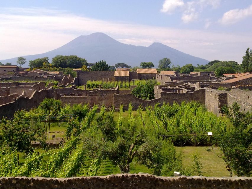 2-Hour Private Walking Tour of Pompeii - Choosing between Pompeii’s three theaters