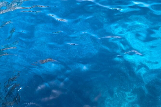 3-hour private boat tour of the island of Capri - Price and value: $443.34 per group for up to 5
