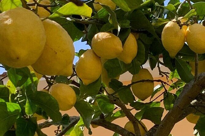3 Hour Walking Tour of Sorrento with Local Food Tasting - What Makes This Sorrento Walk Worth Your Time