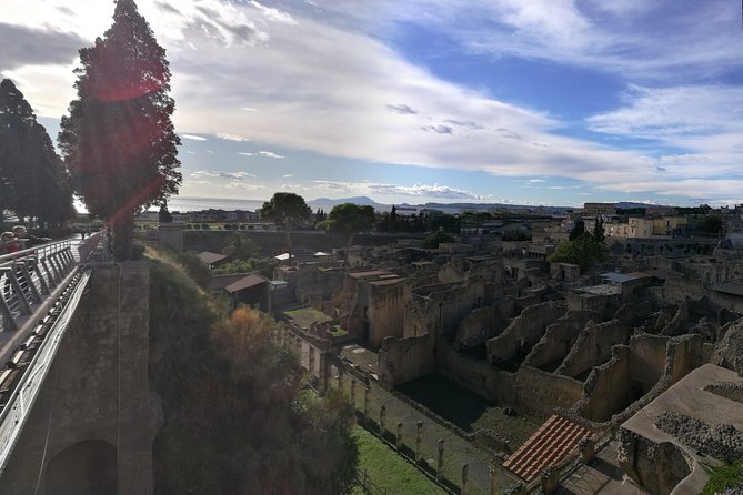 4/hours Half Day Trip Excursion to Herculaneum - Guide included - Pickup from your hotel or cruise docking, and why it matters