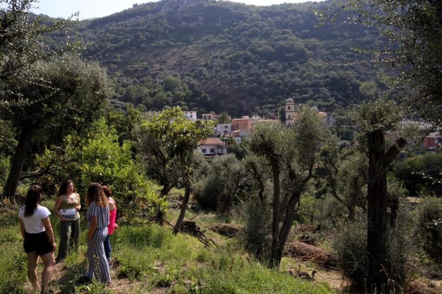 5 Wine Tastings with Typical Products in Sorrento Coast - Who should book this Sorrento Coast tasting (and who might not)