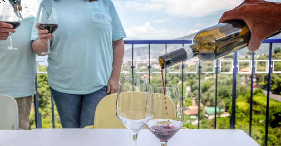 5 Wine Tastings with Typical Products in Sorrento Coast - Who should book this wine-and-olive-oil tasting?