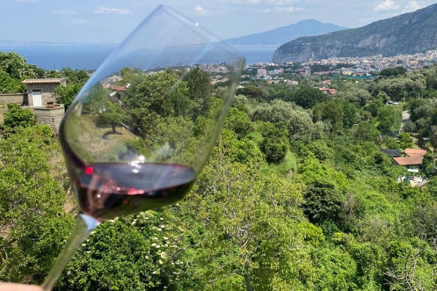 5 Wine Tastings with Typical Products in Sorrento Coast - Small group format, languages, and timing that makes sense