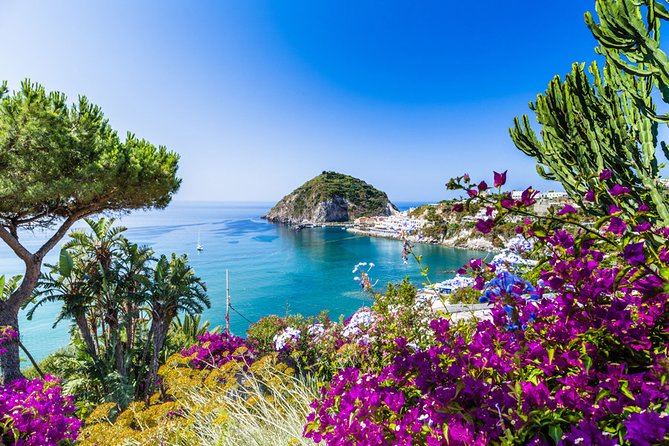 Afternoon Bus Tour of the Island of Ischia - Key Points You’ll Care About
