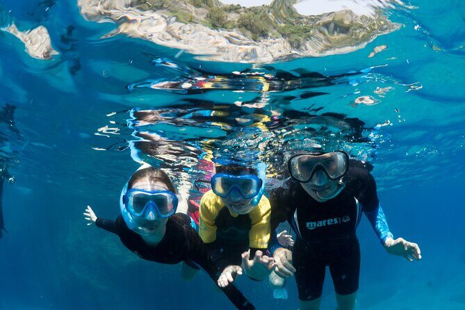 Afternoon snorkelling guided by a marine biologist in Sorrento - The 2.5-hour flow and why the afternoon timing works