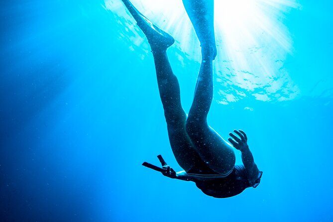 Afternoon snorkelling guided by a marine biologist in Sorrento - What the marine biologist actually does for you