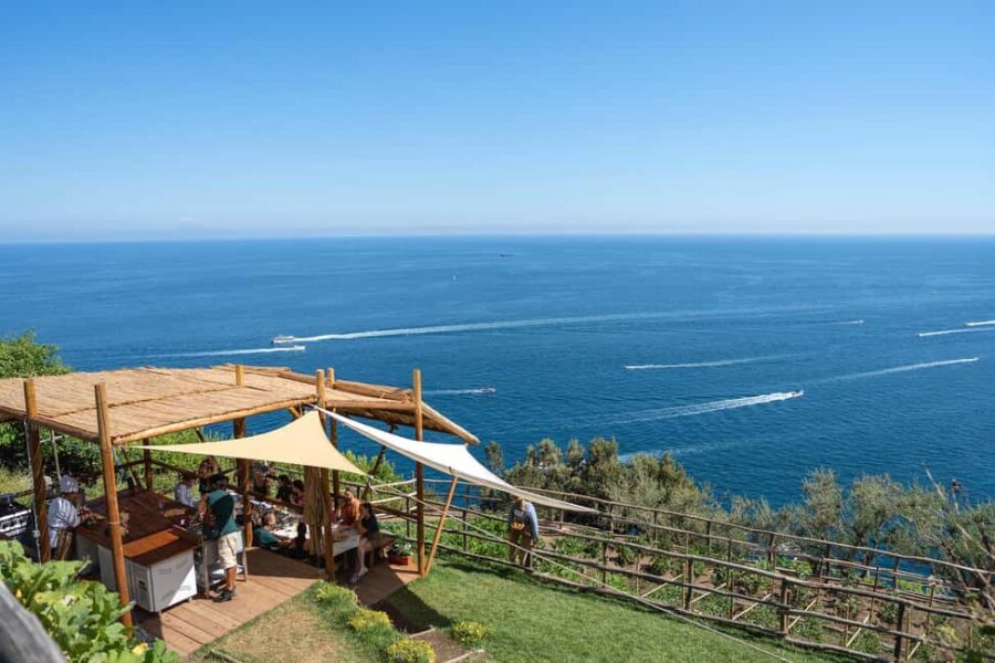 Amalfi Coast: Pizza & Mozzarella Class with Farmhouse visit - The garden tour: lemon grove, vegetables, and a farming mindset