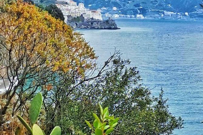 Amalfi Coast Private Tour from Sorrento: Exclusive Mercedes Van - Getting the most out of your 8 hours