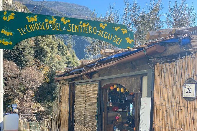 Amalfi Coast Private Tour from Sorrento: Exclusive Mercedes Van - The Sorrentine Peninsula drive: cliffs, lemon terraces, and distant views