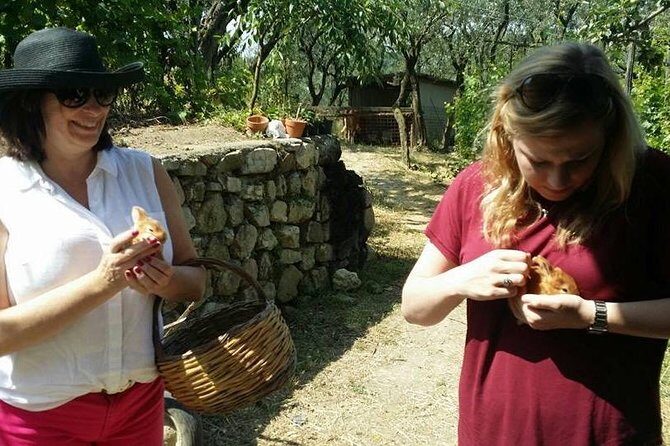 Amalfi Coast & Sorrento Cooking Class School at Farmhouse - What You’ll Learn (and What You Can Recreate at Home)