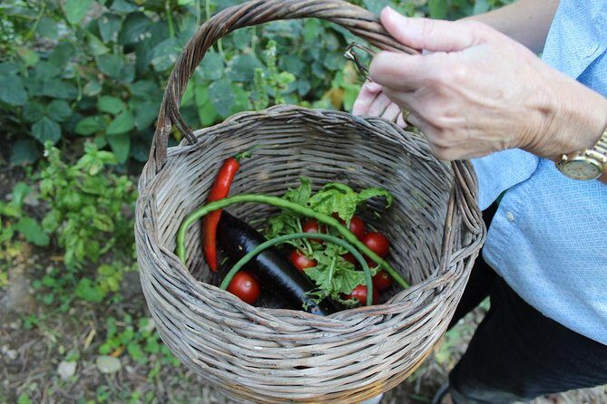 Amalfi Coast & Sorrento Cooking Class School at Farmhouse - From Garden to Cutting Board: The Ingredient-Picking Moment