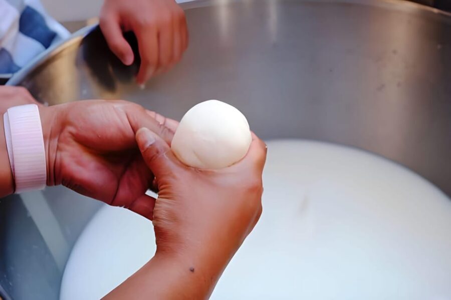 Amalfi: Learn how to make pasta, mozzarella and tiramisù! - Farm tour, animals, and the castle viewpoint