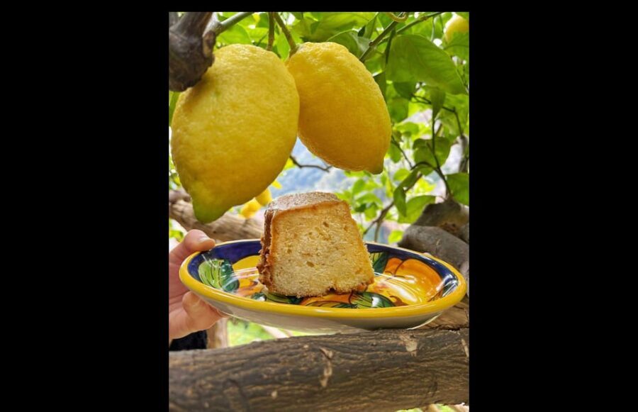 Amalfi Organic Lemon Tour & Tasting in the Historical Garden - Who should book this lemon tour (and who should skip)