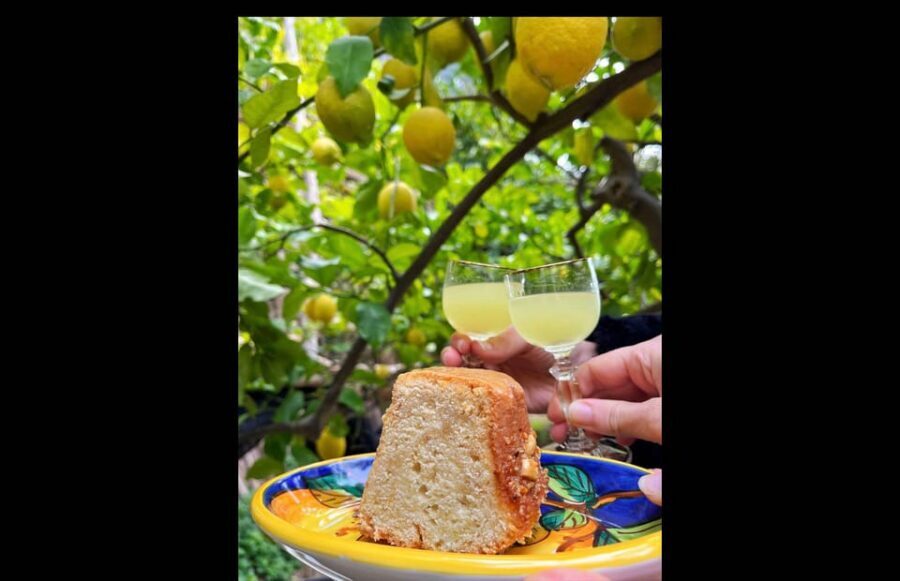Amalfi Organic Lemon Tour & Tasting in the Historical Garden - The terrain reality check: steps, incline, and comfortable shoes