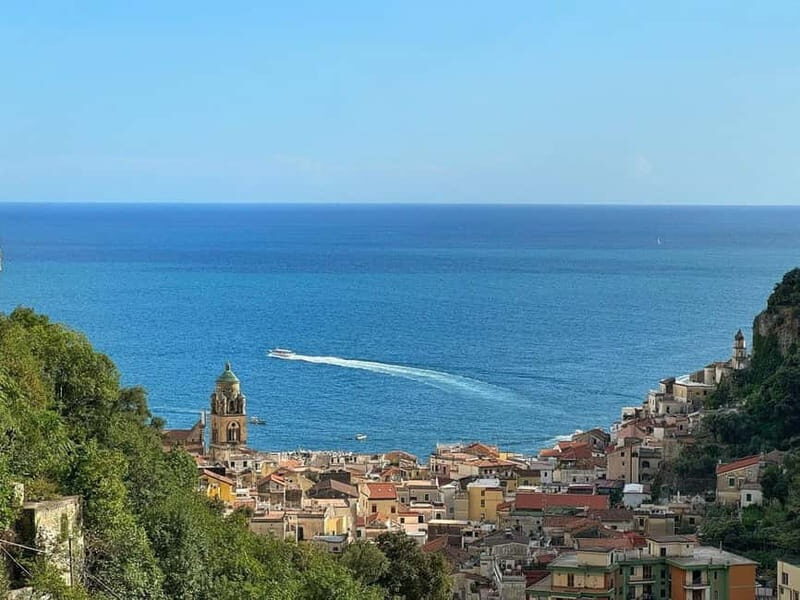 Amalfi Organic Lemon Tour & Wine Tasting + Dinner or Lunch - Key highlights worth your time