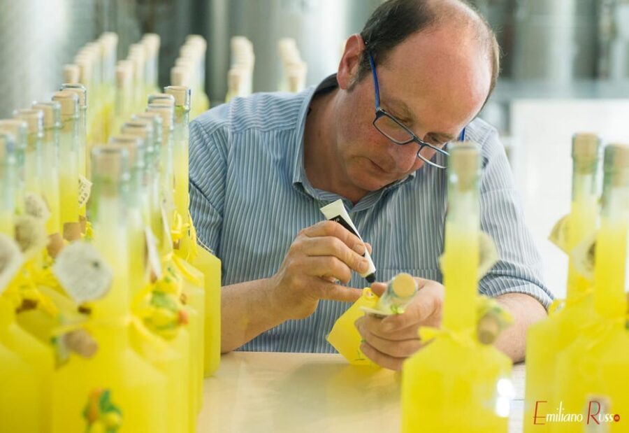 Amalfi: Vertical Lemon Farm Tour, Tastings, and Rural Museum - From Terraces to Protected Name: What You Learn on the Walk