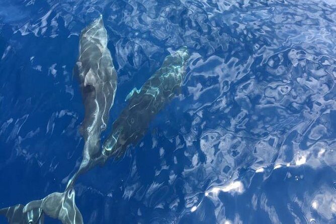 Appreciate the Amalfi coast on a luxury yacht! - Li Galli and Fiordo Di Furore: Small Stops, Big “Only Here” Energy