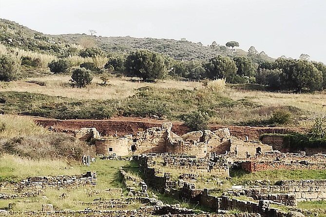 Archaeological Park of Velia “An Italian jewel, Costa Campana” - The guide experience: more than a checklist