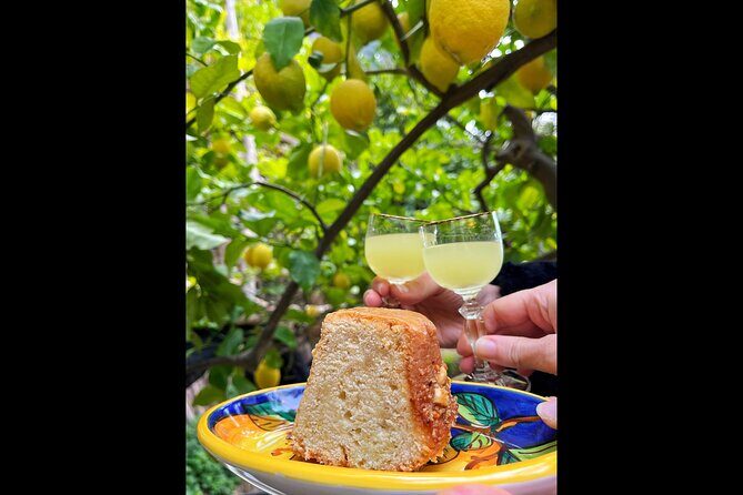 Authentic Amalfi Lemon Tour & Tasting in the Historical Garden - Why an Amalfi Lemon Garden Feels Different from a Usual Tour