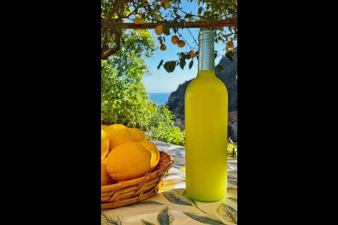 Authentic Amalfi Lemon Tour & Tasting in the Historical Garden - What the Tour Teaches About Organic Citrus (Without Turning It Into a Lecture)
