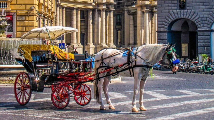 Best of Naples: Private Walking Tour with a Local - Pizza, fresh ingredients, and navigation tips you can use immediately