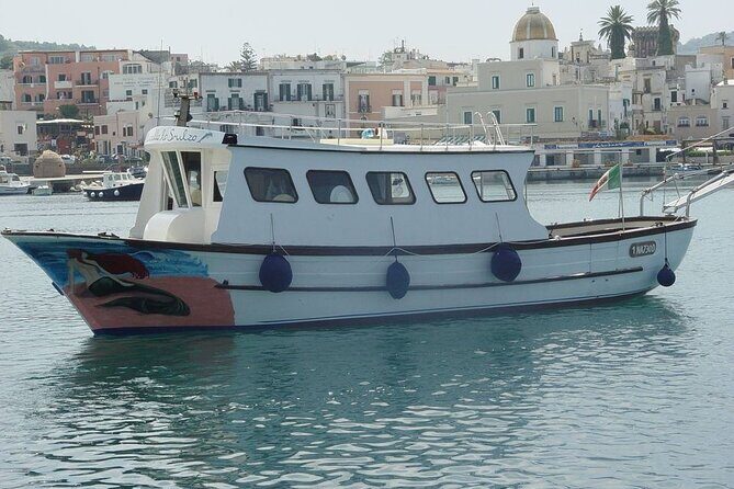 Boat tour of the island of Ischia with lunch and bath - Entertainment and Explanations: When a Boat Becomes a Party (In a Good Way)