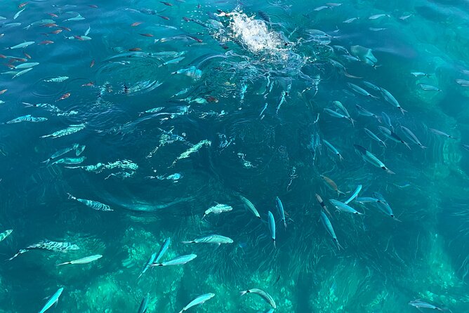 Boat Tour to Procida and Ischia, discover Private Secret Beaches - Capo Miseno’s Roman Caves: A Swim in Real-World History