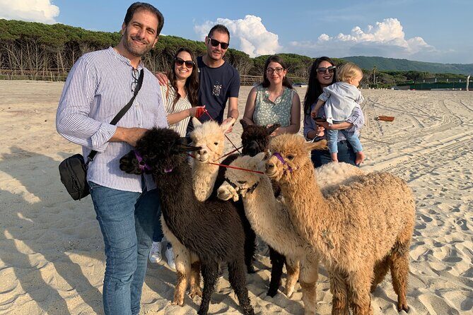 Calabrian Alpacas Sunset Beach Experiences Pizzo VV AlpacSelfies - Who should book this (and who should skip it)