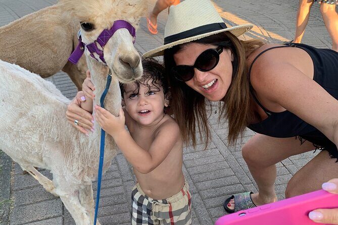 Calabrian Alpacas Sunset Beach Experiences Pizzo VV AlpacSelfies - Where you start at Contrada Colamaio (and what the first minutes feel like)