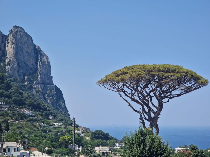 Capri, Anacapri & Blue Grotto Small Group Tour - Mount Solaro Views: The Optional Chairlift Upgrade