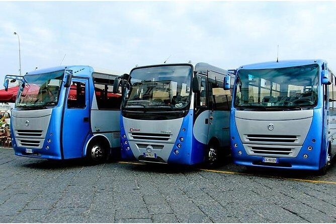 CAPRI - DIY Day Trip Package - BoatTour, BlueGrotto,Bus&Lunch - La Giara Lunch in Anacapri: The Best Non-Photo Moment