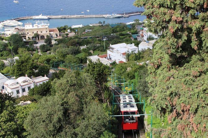 CAPRI - DIY Day Trip Package - BoatTour, BlueGrotto,Bus&Lunch - Price and Value: Is $131.26 Worth It?