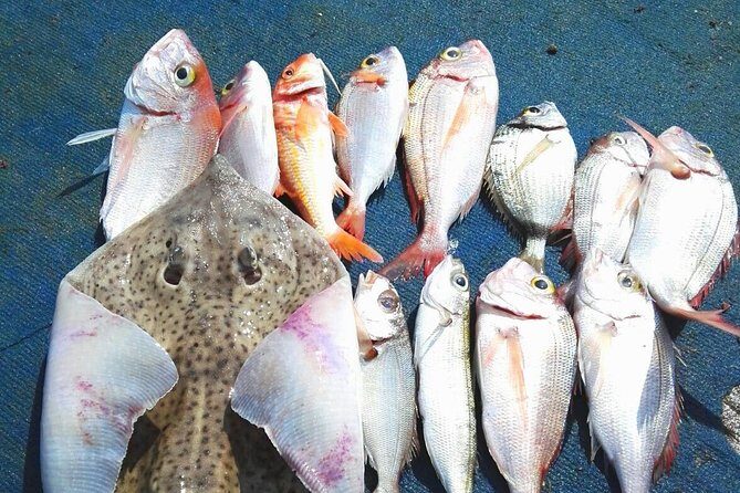 Capri Fishing Excursion with Snorkeling and Lunch from Sorrento - Key things to know before you go