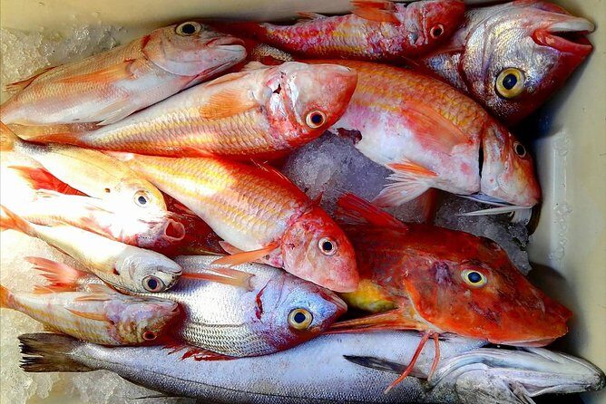 Capri Fishing Excursion with Snorkeling and Lunch from Sorrento - The fishing session: equipment, technique, and what to expect from the catch