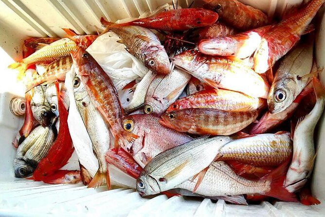 Capri Fishing Excursion with Snorkeling and Lunch from Sorrento - Capri free time: your chance to stretch your legs and reset