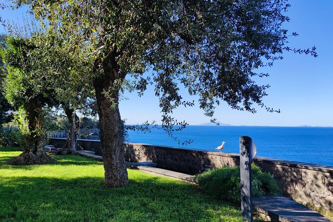 Car Tour admiring Capri and visiting Positano - Termini: Capri Views Plus Lemon Granita Break Time