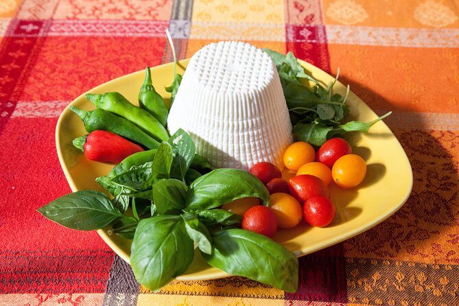 Cesarine: Small Group Pasta and Tiramisu Class in Sorrento - English-led sessions: what to expect if translation happens