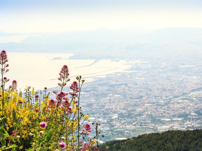 Combo Tour_Pompeii & Vesuvius - Price and Value: Is $101 a Good Deal?