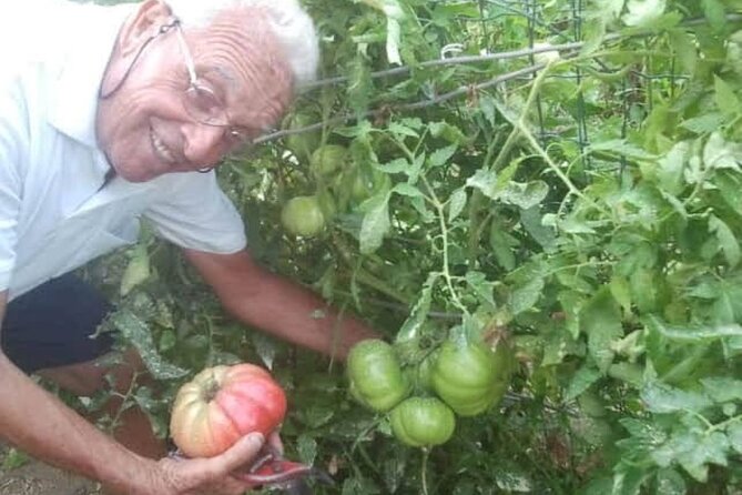 Cooking class in Capri for small groups - Price and value: what $156.28 actually covers