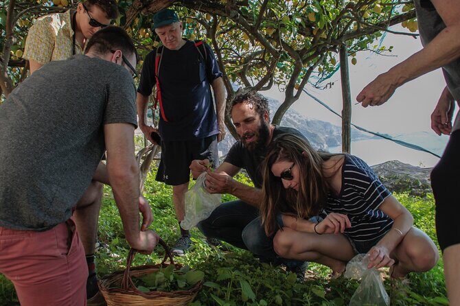 Cooking Class with garden visit - Who should book this Praiano cooking and garden experience?