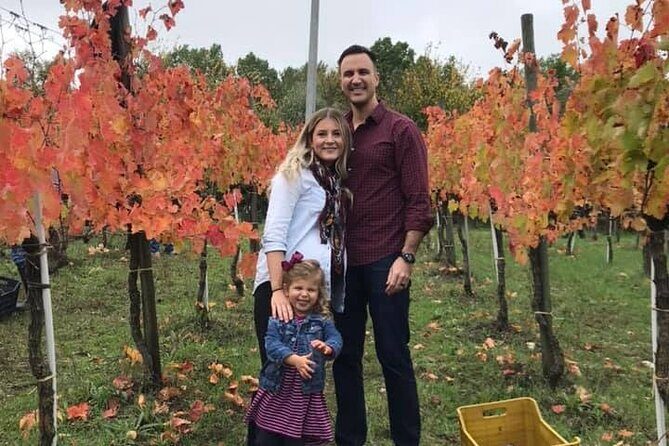 Cortecorbo Irpinia-wines: tour of the vineyards- Cooking class- wine tasting - Price and value: is $179.81 per person fair for this day?