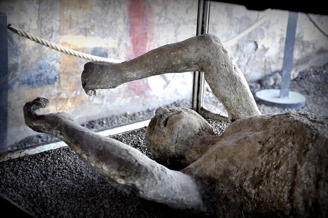 Customizable Private Tour of Herculaneum & Pompeii - How private transport changes your Pompeii and Herculaneum day