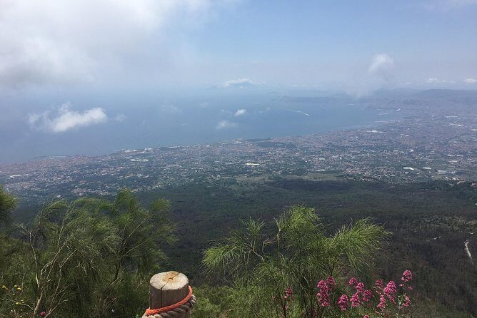 Daily Excursion Full Day 8 Hours ( Vesuvio Pompei) - The human factor: Fulvio, Vito, and how hosting shapes the day
