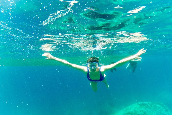 Day Trip to Amalfi Coast and Ieranto Bay in a Hybrid Eco Boat - Ieranto Bay Marine Protected Area: the eco-bonus you’ll feel