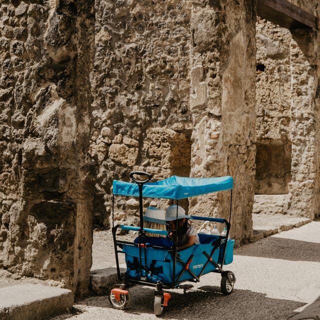 Discover Pompeii: Spanish Walking Tour of the Buried City - Getting into Pompeii faster with your included ticket