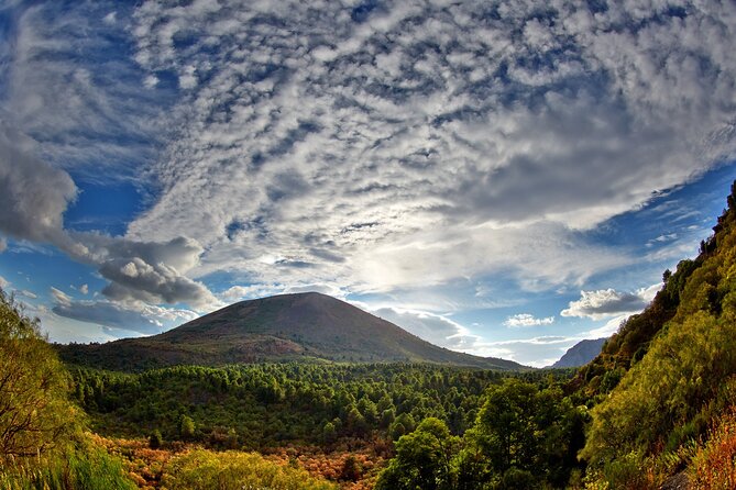 Discovering the Vesuvius - VIP tour / Small group - Naples to Vesuvius, with a volcanologist in the mix