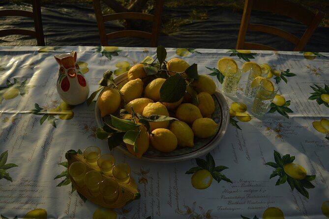 Discovery Tour of Sorrento Lemon in Massa Lubrense - Key highlights you’ll actually care about