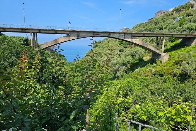 E-Bike Tour in the Sorrento Peninsula and Visit to Acetaia - The acetaia-style vinegar experience: what you’re learning beyond the taste