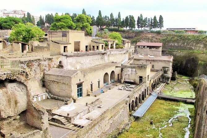 Easy Hercunaleum - Private tour (skip-the-line) - Private, skip-the-line style at Parco Acheologico di Ercolano